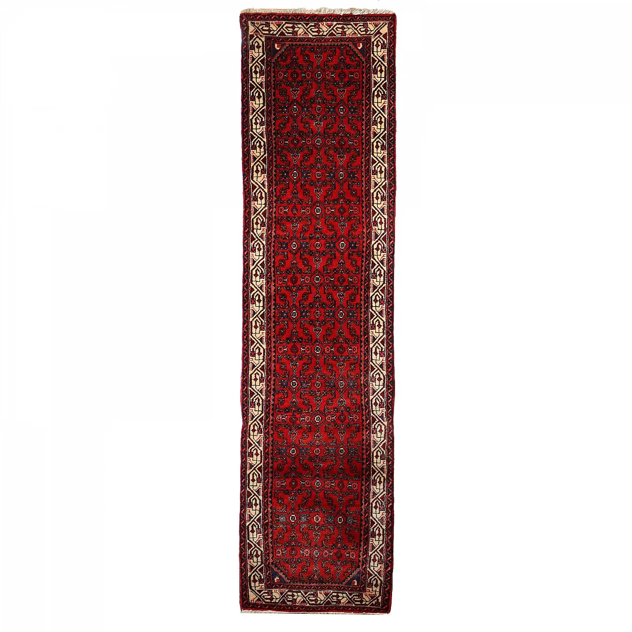 Iranian Bidjar rug in cotton and wool 1