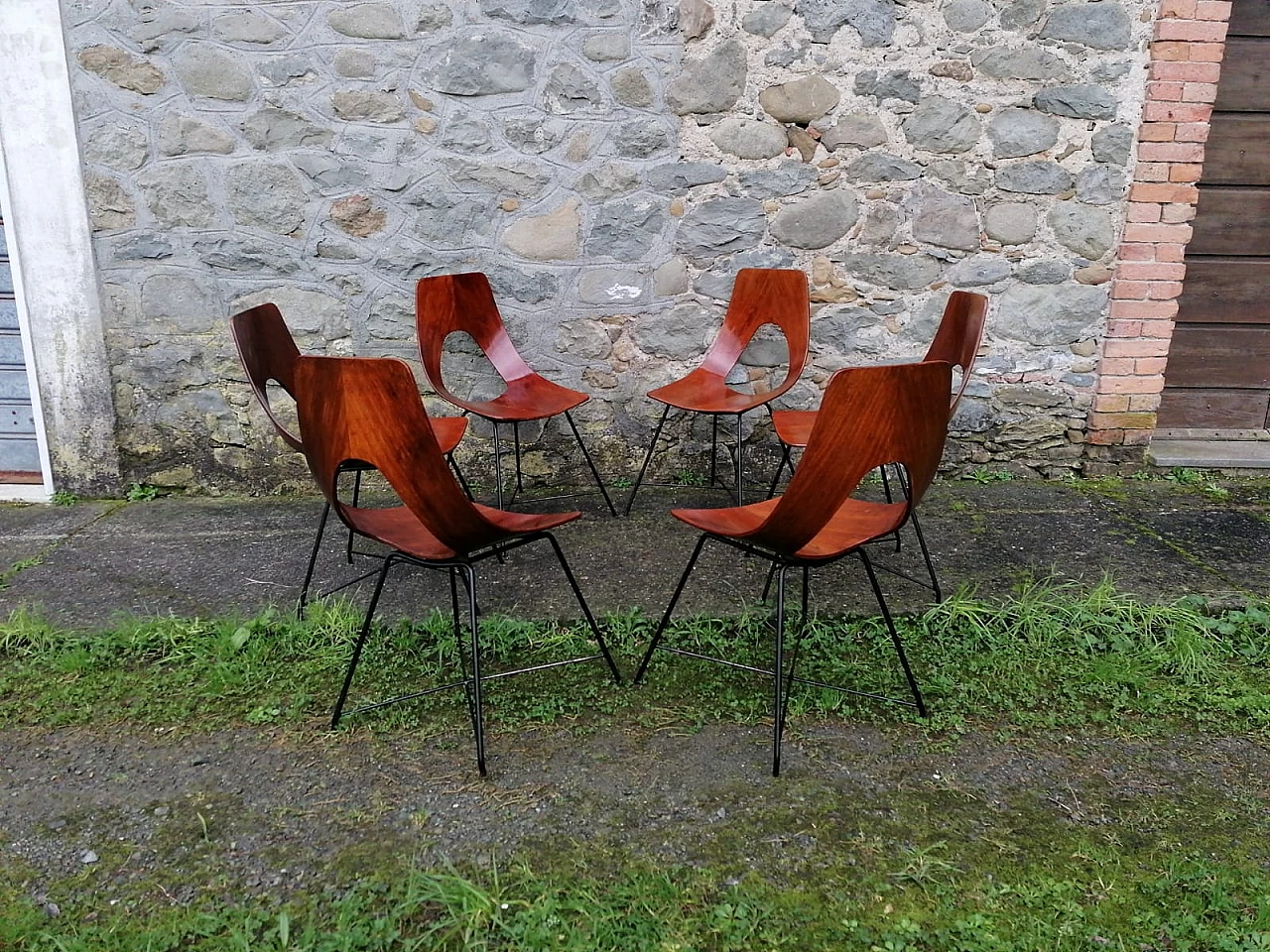 6 Plywood and metal Ariston chairs by Augusto Bozzi for Saporiti, 1950s 7