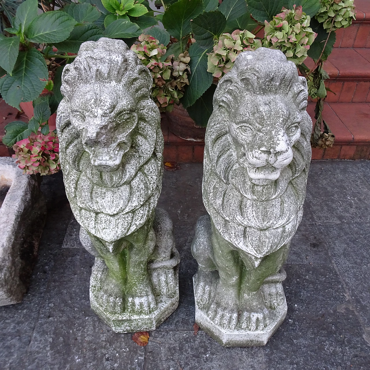 Coppia di sculture di leoni in granito, inizio '900 4