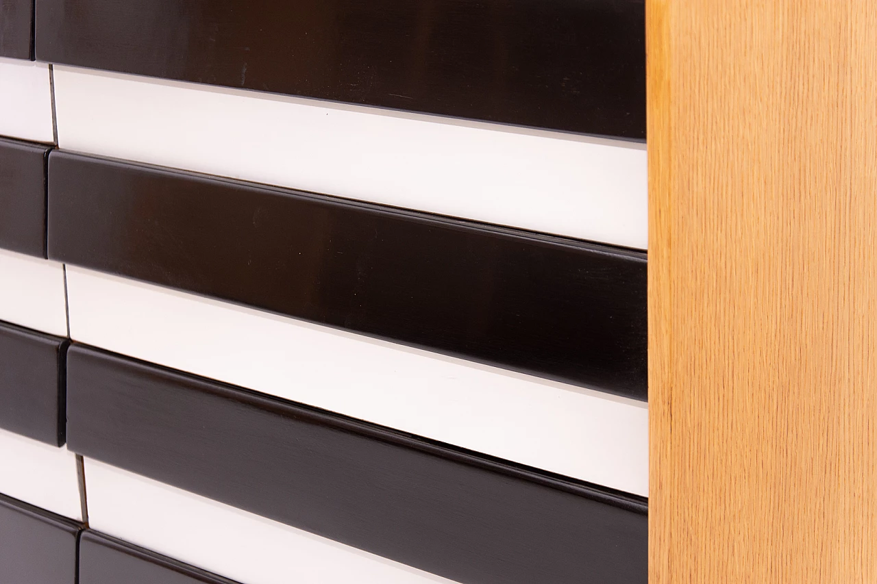 Cassettone U-453 di Jiří Jiroutek, anni '60 9