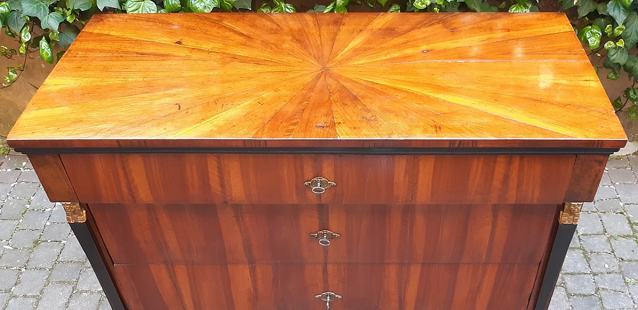 Empire walnut chest of drawers with columns with gilded wooden sphinxes, 19th century 11