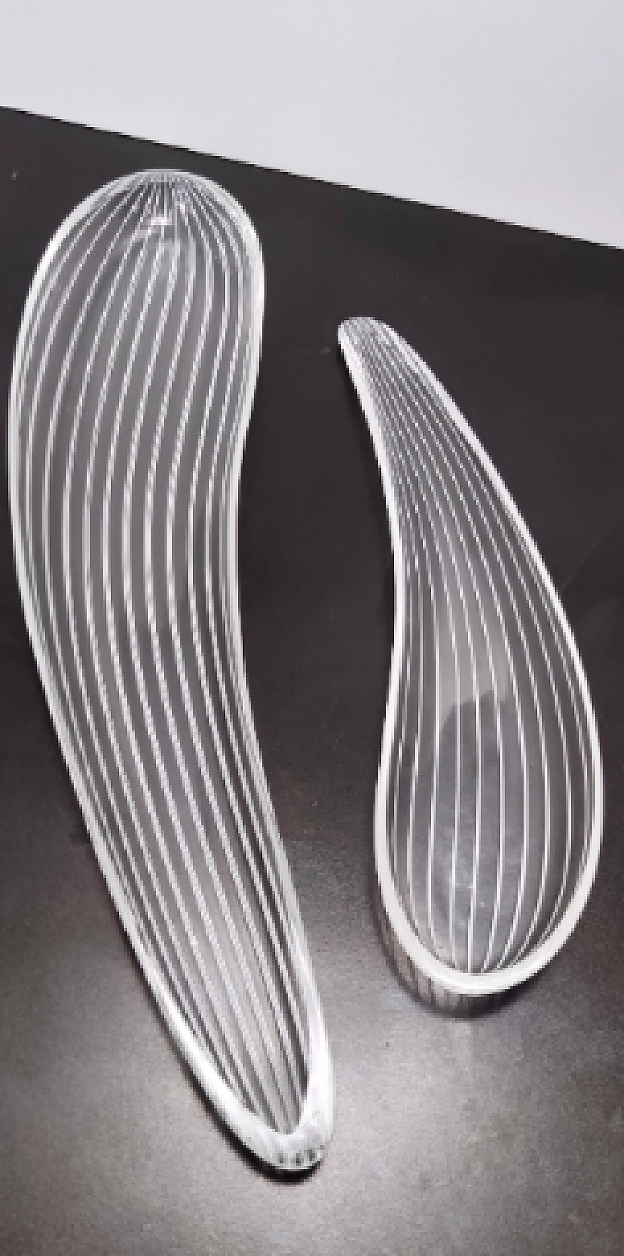 Pair of glass centerpieces by Livio Seguso, 1970s 3