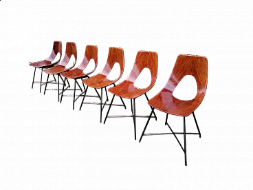 6 Plywood and metal Ariston chairs by Augusto Bozzi for Saporiti, 1950s