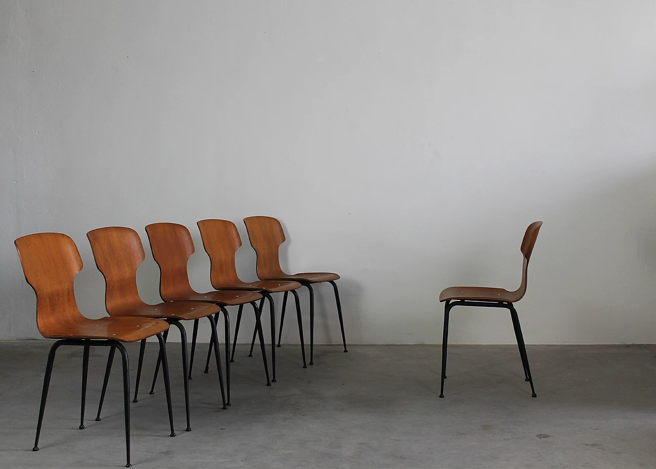 6 Bent plywood chairs by Carlo Ratti for Industria Legni Curvati, 1950s 1