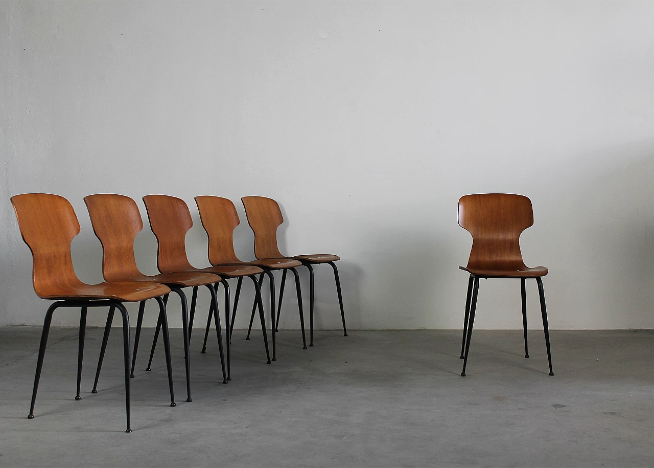 6 Bent plywood chairs by Carlo Ratti for Industria Legni Curvati, 1950s 3