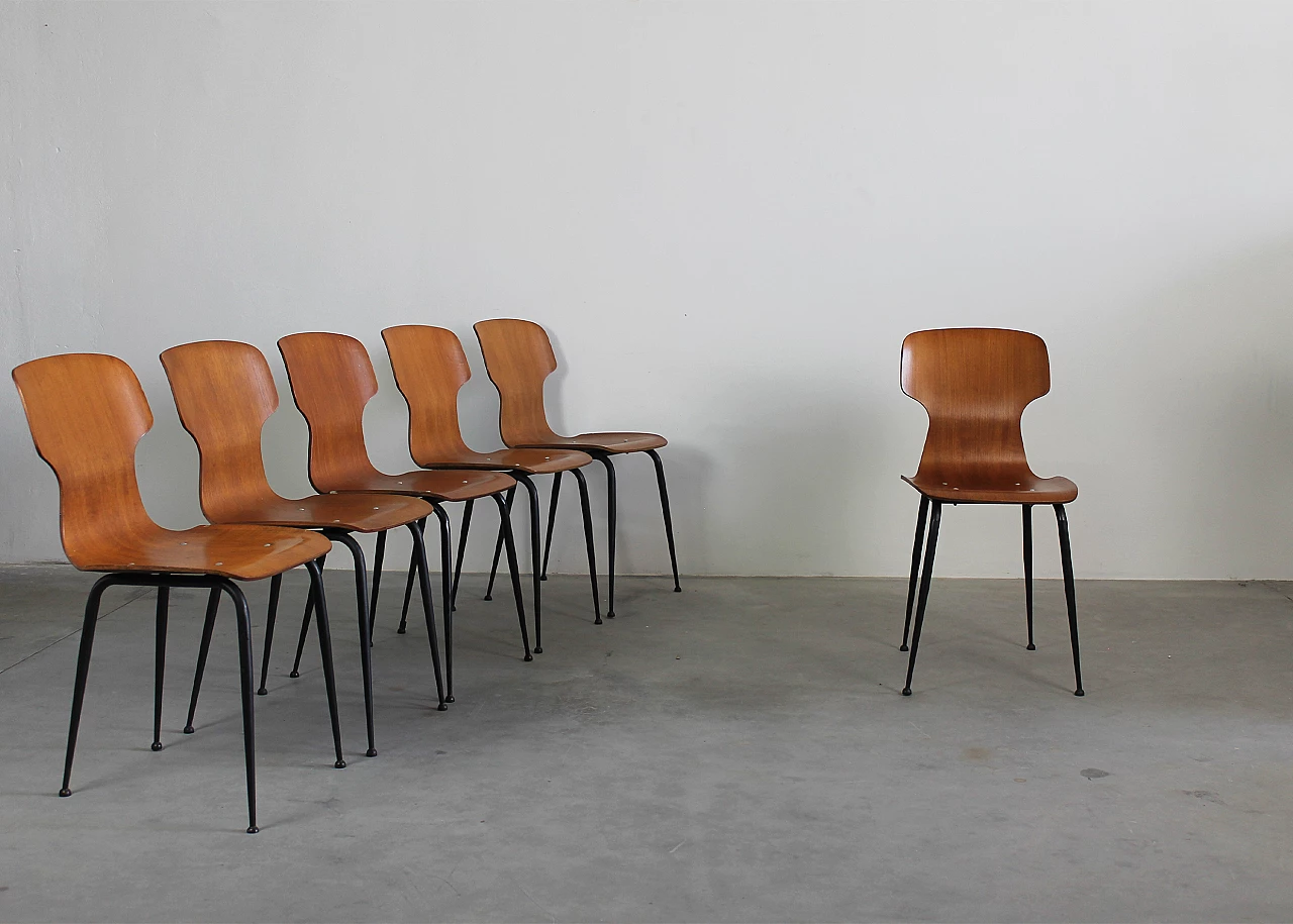 6 Bent plywood chairs by Carlo Ratti for Industria Legni Curvati, 1950s 4