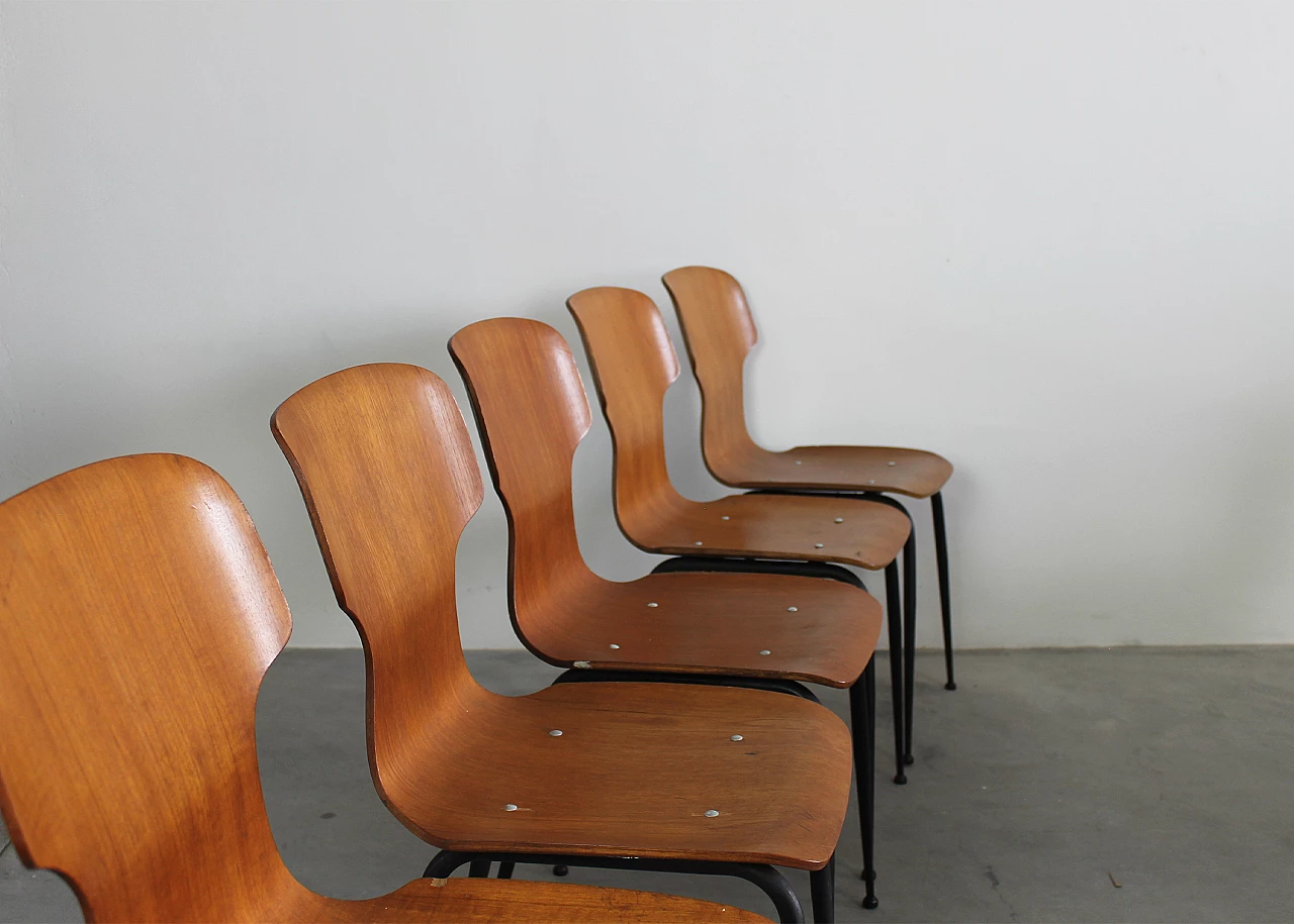 6 Bent plywood chairs by Carlo Ratti for Industria Legni Curvati, 1950s 6