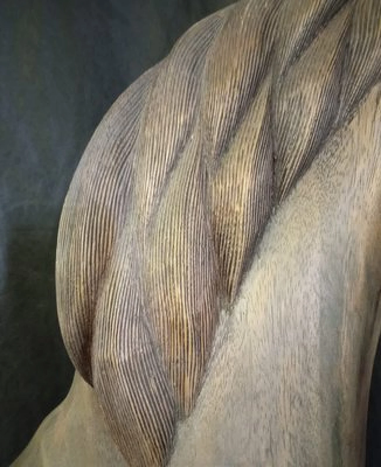 Scultura di cavallo in noce, anni '20 5