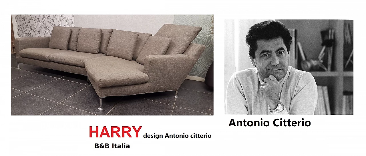 Harry sofa with chaise longue by Antonio Citterio for B&B Italia 12