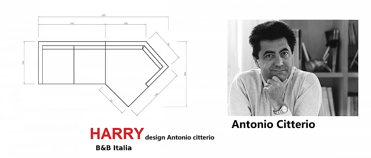 Harry sofa with chaise longue by Antonio Citterio for B&B Italia 13