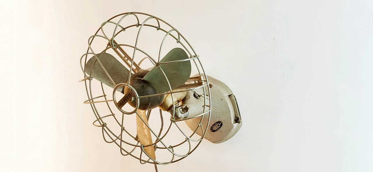 Fan by Ercole Marelli, 1950s 7