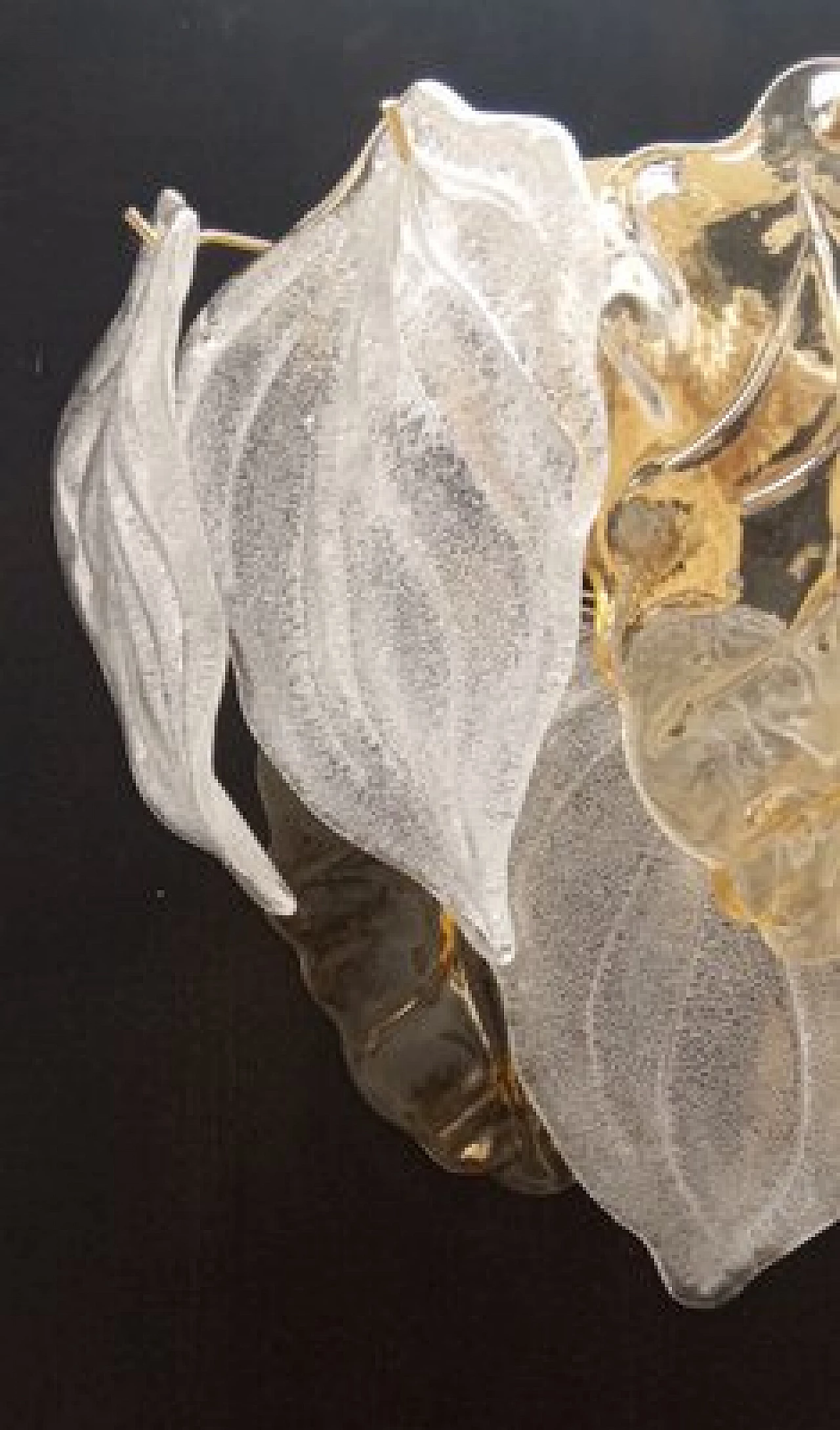 Coppia di applique in vetro di Murano trasparente e ambrato, anni '70 5