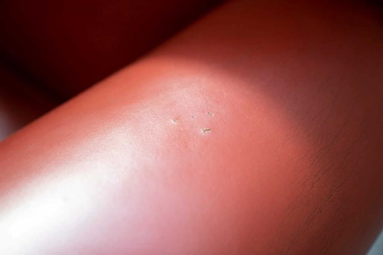 Poltrona Vanity Fair in pelle rossa di Frau, anni '90 6