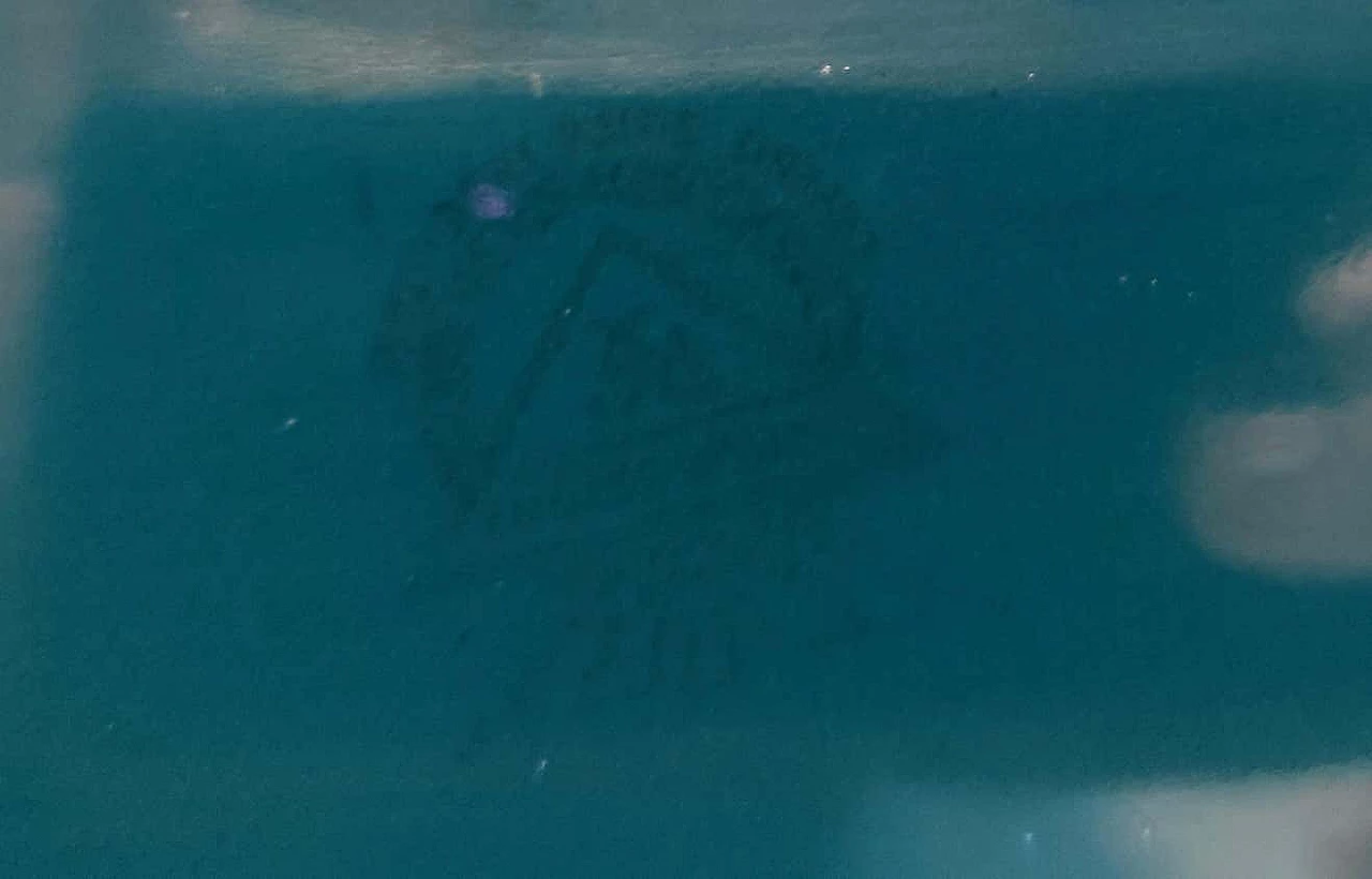 Vassoio Margherita in terracotta blu di Antonia Campi per Laveno, anni '60 6