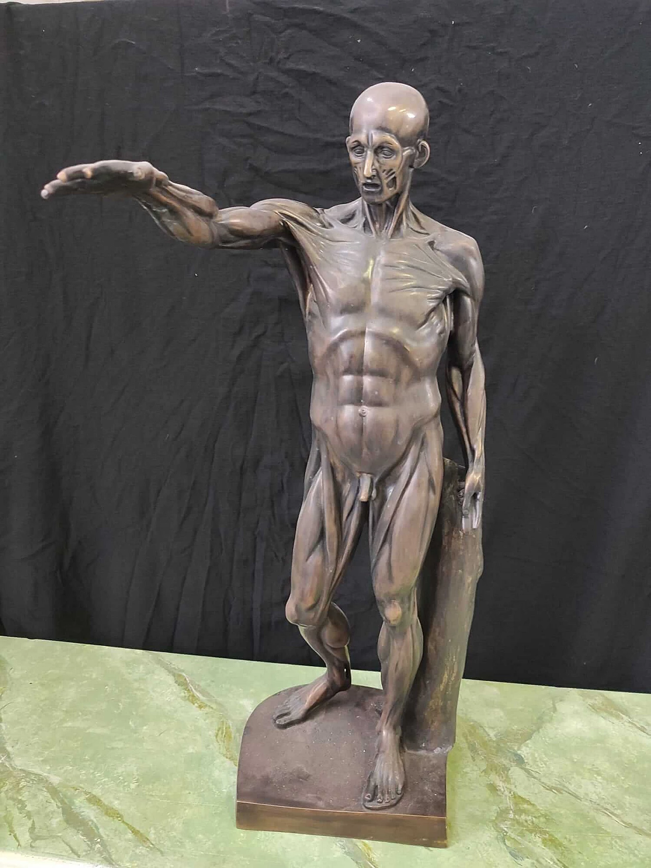 Scultura anatomica in bronzo anatomica, anni '2000 2