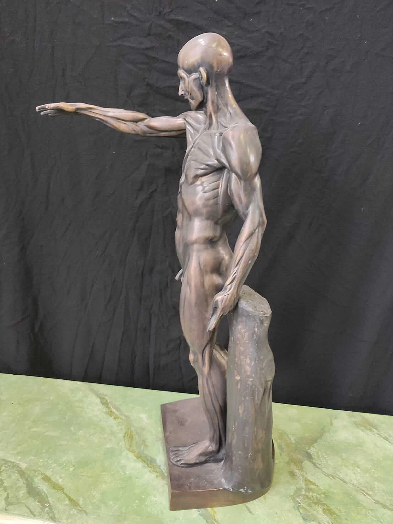 Scultura anatomica in bronzo anatomica, anni '2000 5