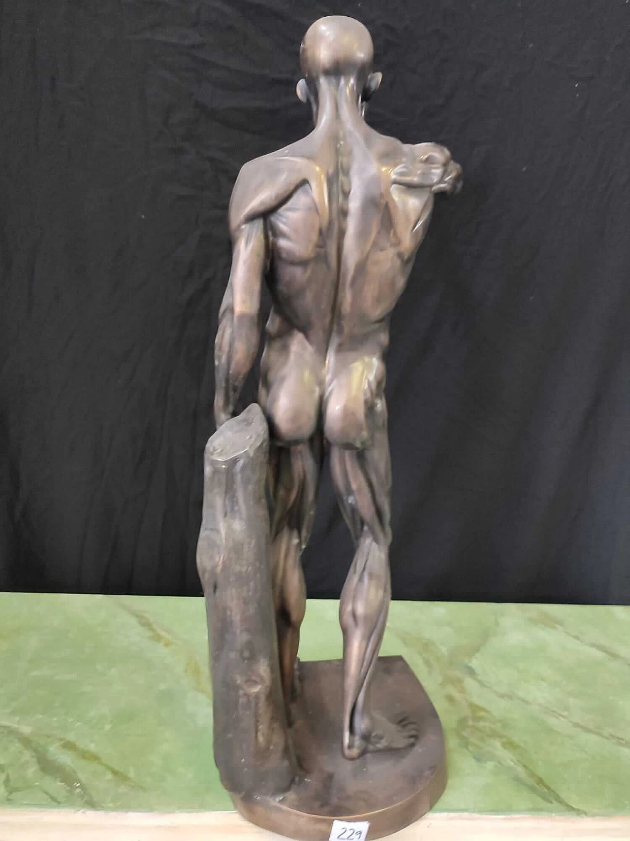 Scultura anatomica in bronzo anatomica, anni '2000 6