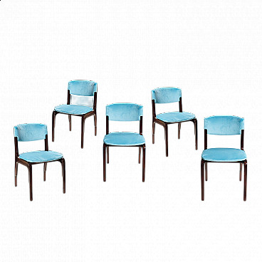 5 Blue velvet chairs by Gianfranco Frattini for Cantieri Carugati, 1960s