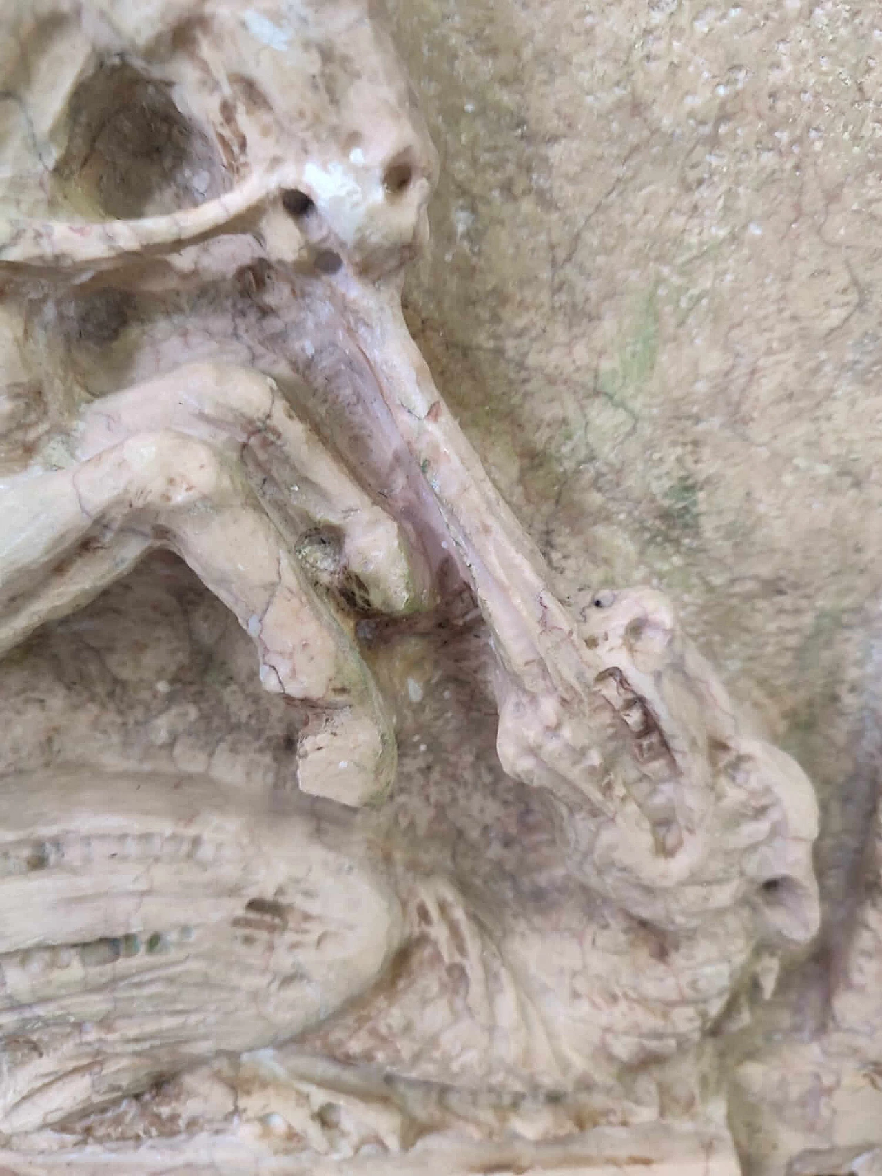 Nembro marble tile with Saint George and the dragon 2