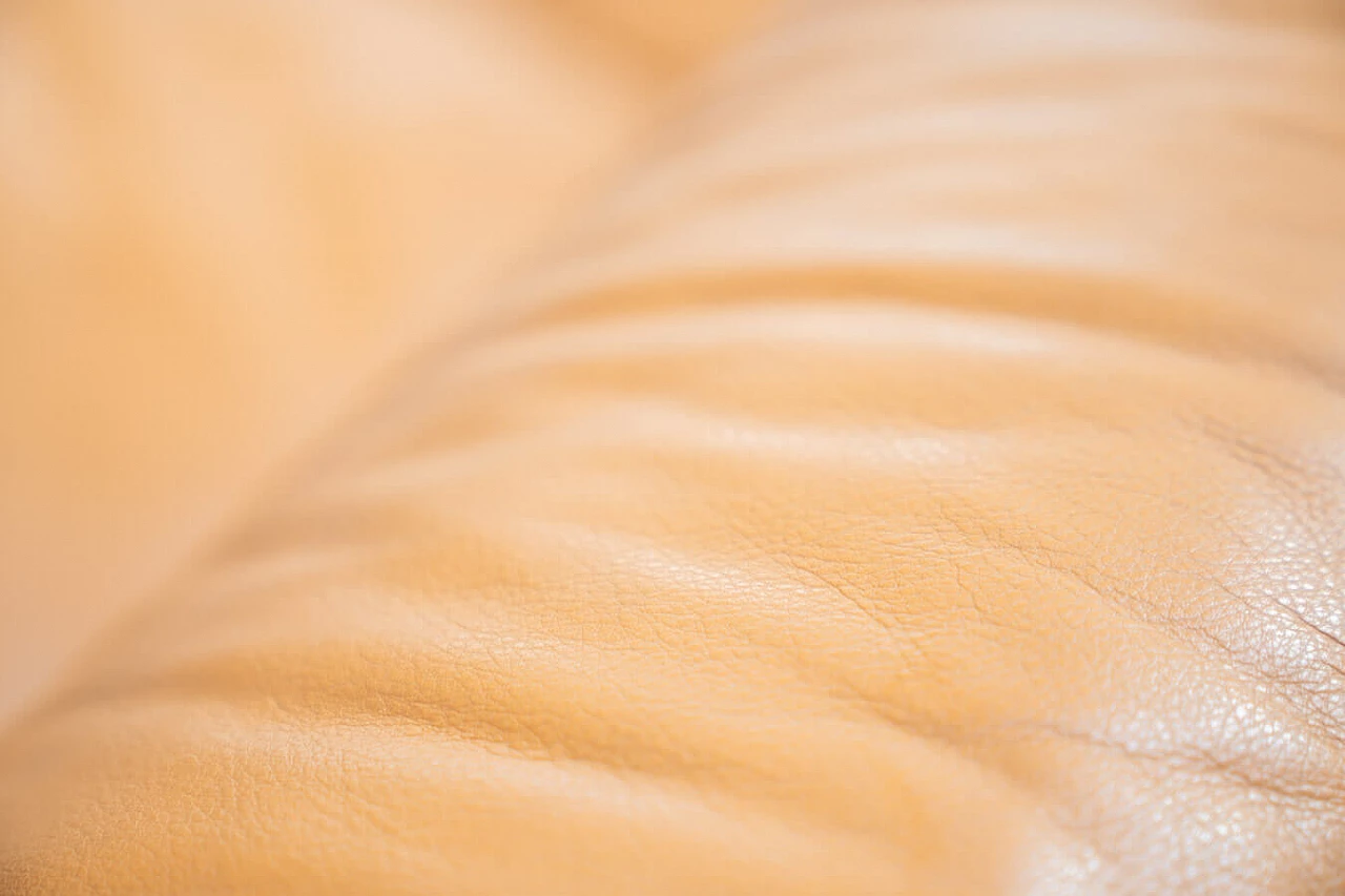 Cognac-coloured leather sofa by Poltrona Frau, 1980s 16