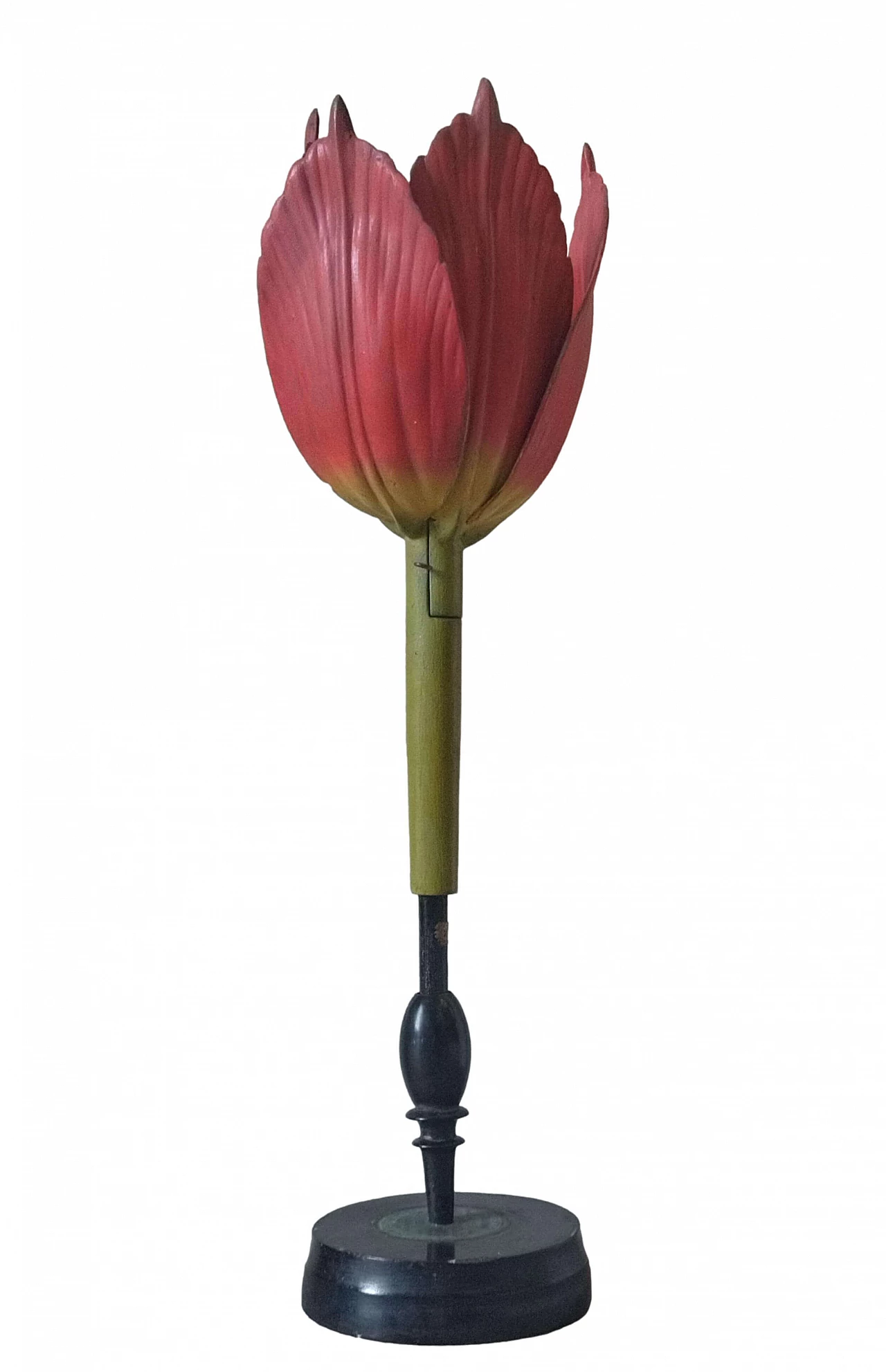 Modello botanico Tulip Generiana di Robert Brendel & Co., anni '60 2