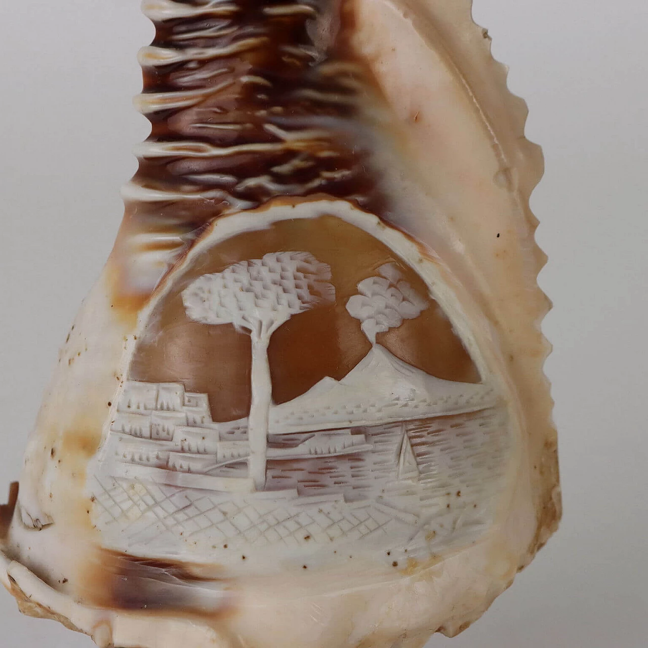 Lampada da tavolo con conchiglia incisa a cammeo, inizio '900 3