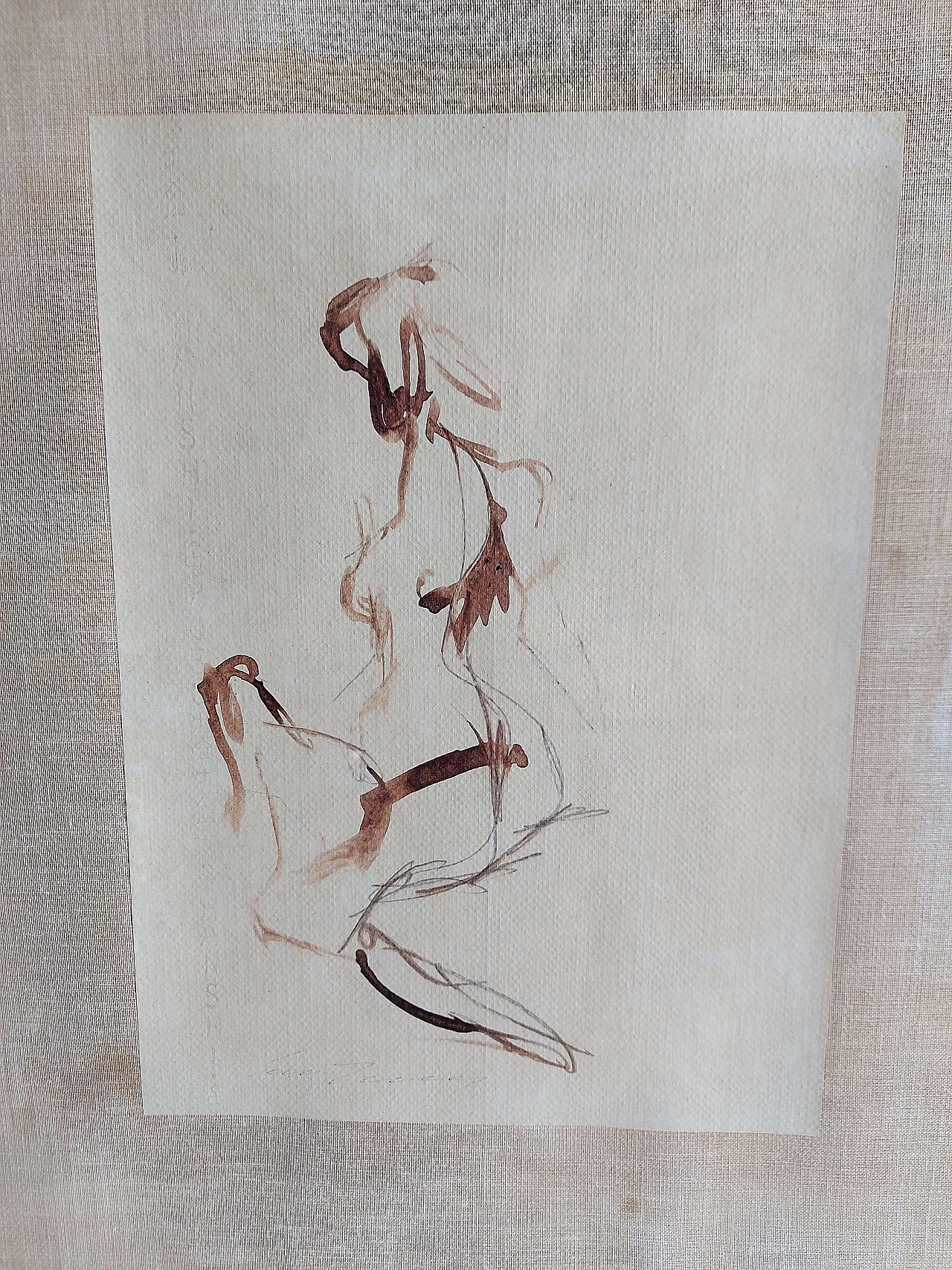 Ernesto Treccani, Nude, Indian ink drawing on paper, 1970 1
