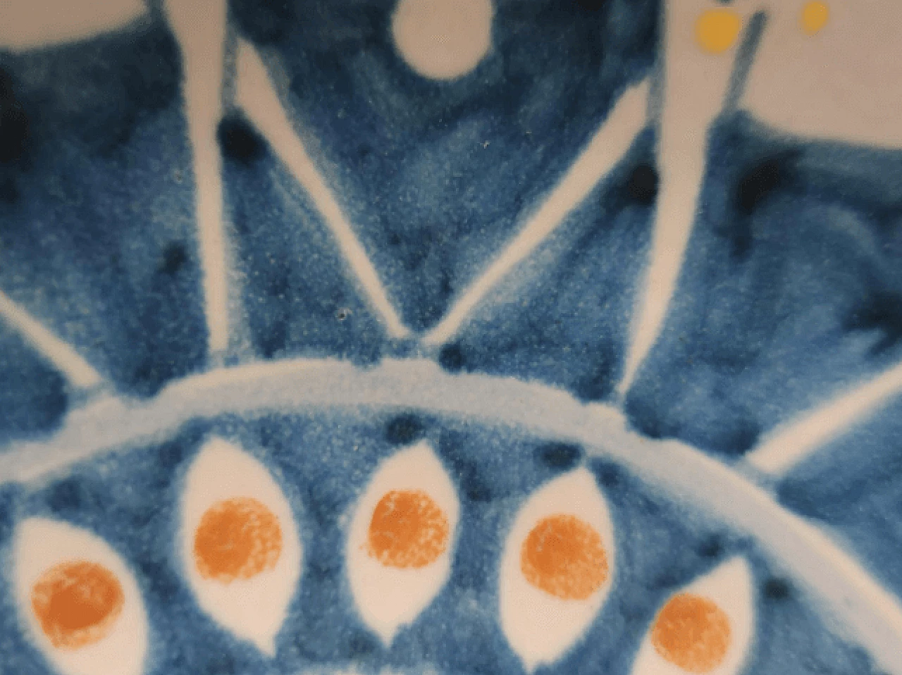 Ciotola centrotavola in ceramica di Vietri dipinta, anni '50 13