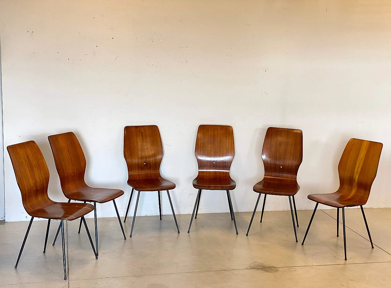 6 Bent plywood chairs with iron frame, 1960s 3