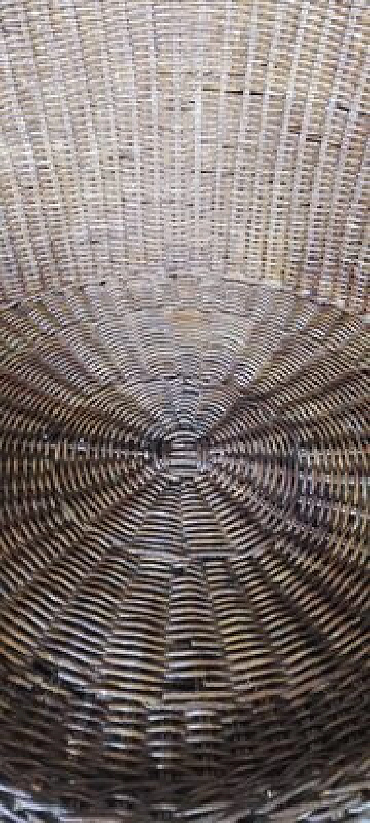 Pair of rattan chairs and coffee table, 1950s 14
