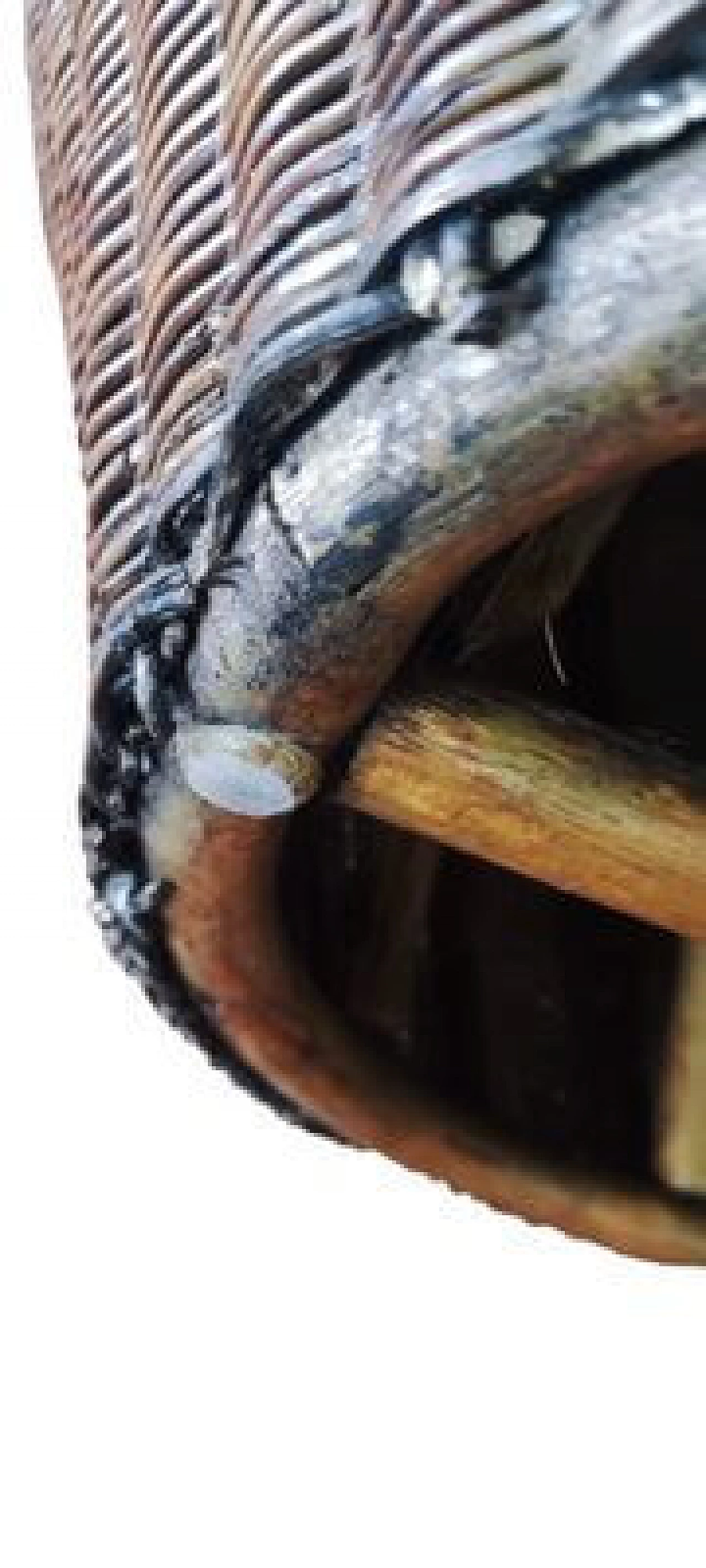 Pair of rattan chairs and coffee table, 1950s 17