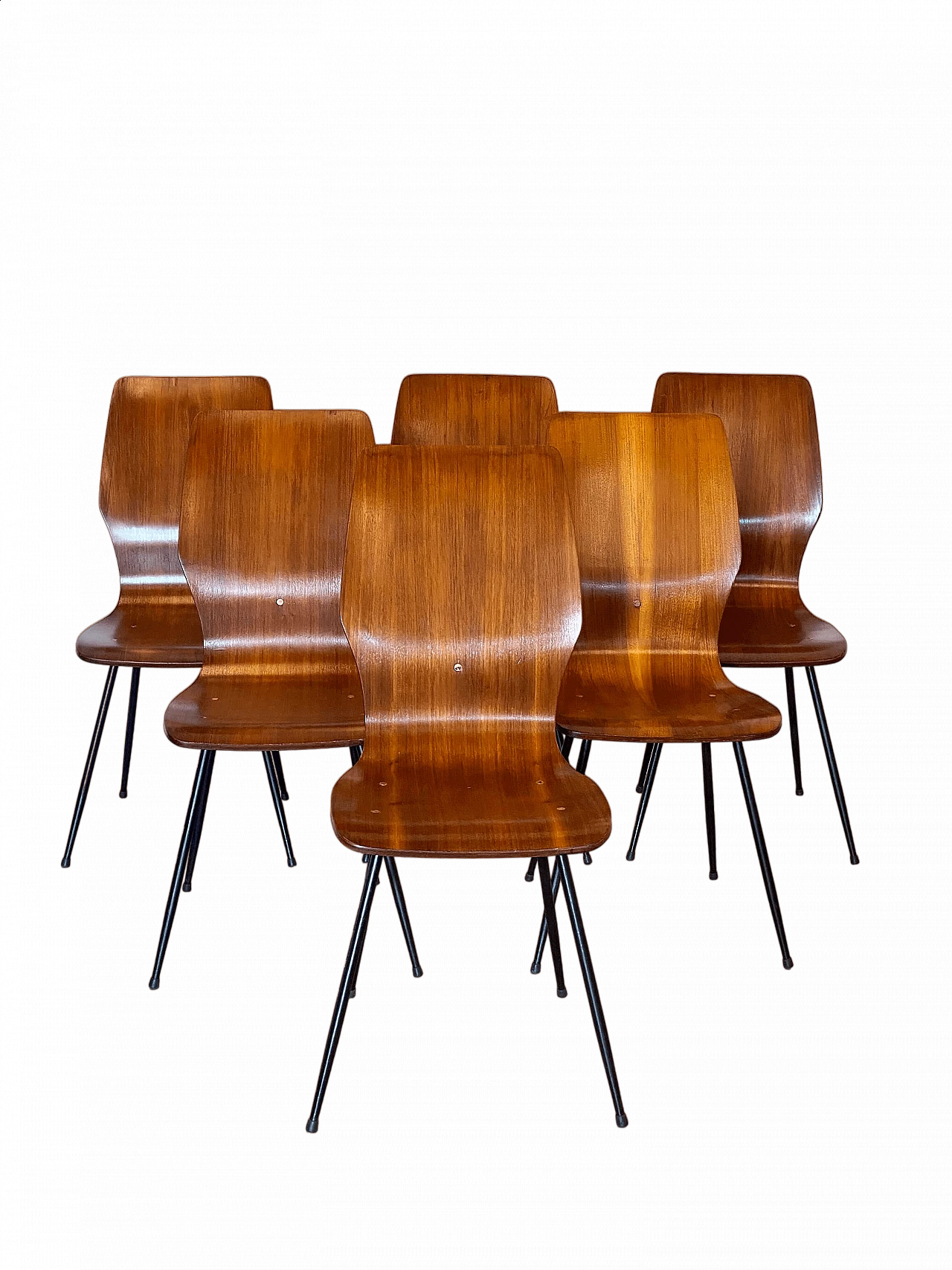 6 Bent plywood chairs with iron frame, 1960s 20