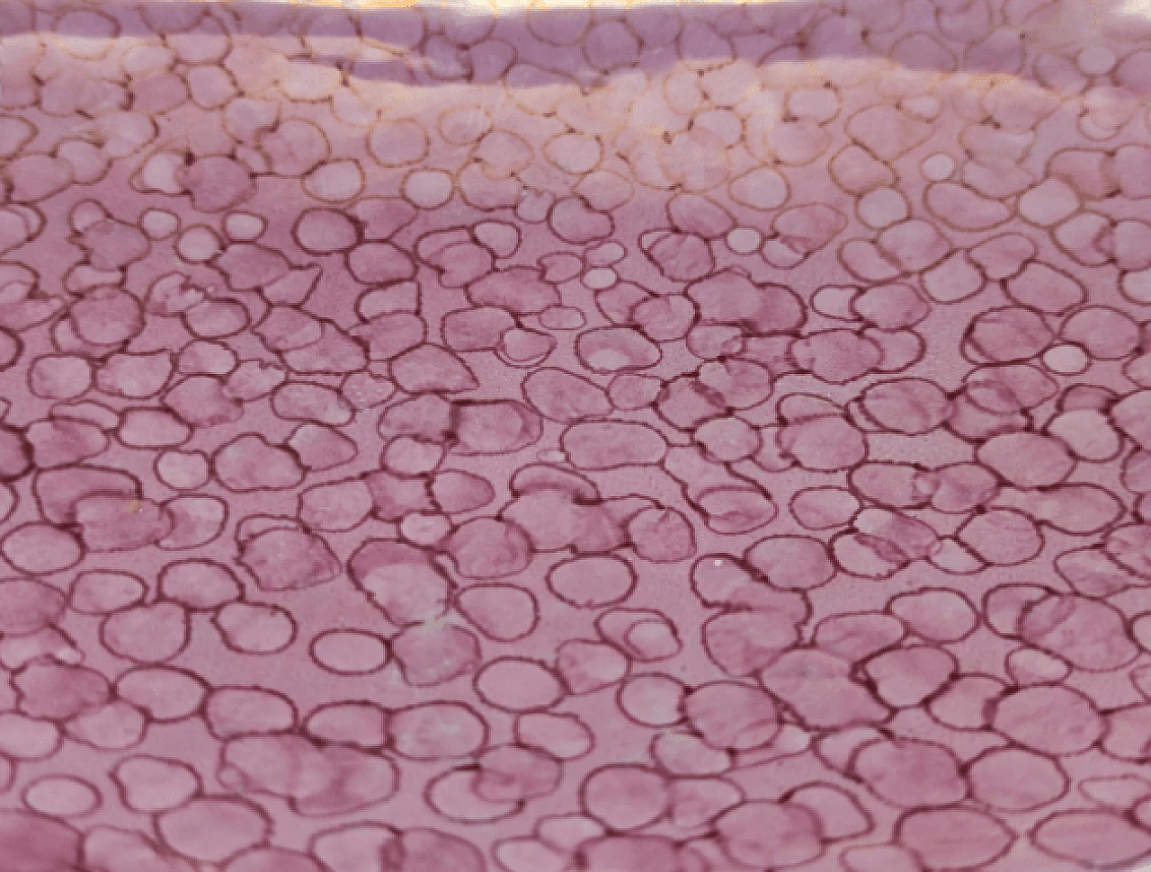 Ceramic fish-shaped valet tray by Rometti, 1960s 8