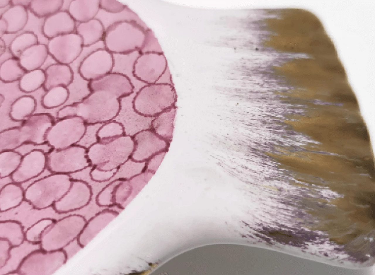 Ceramic fish-shaped valet tray by Rometti, 1960s 10