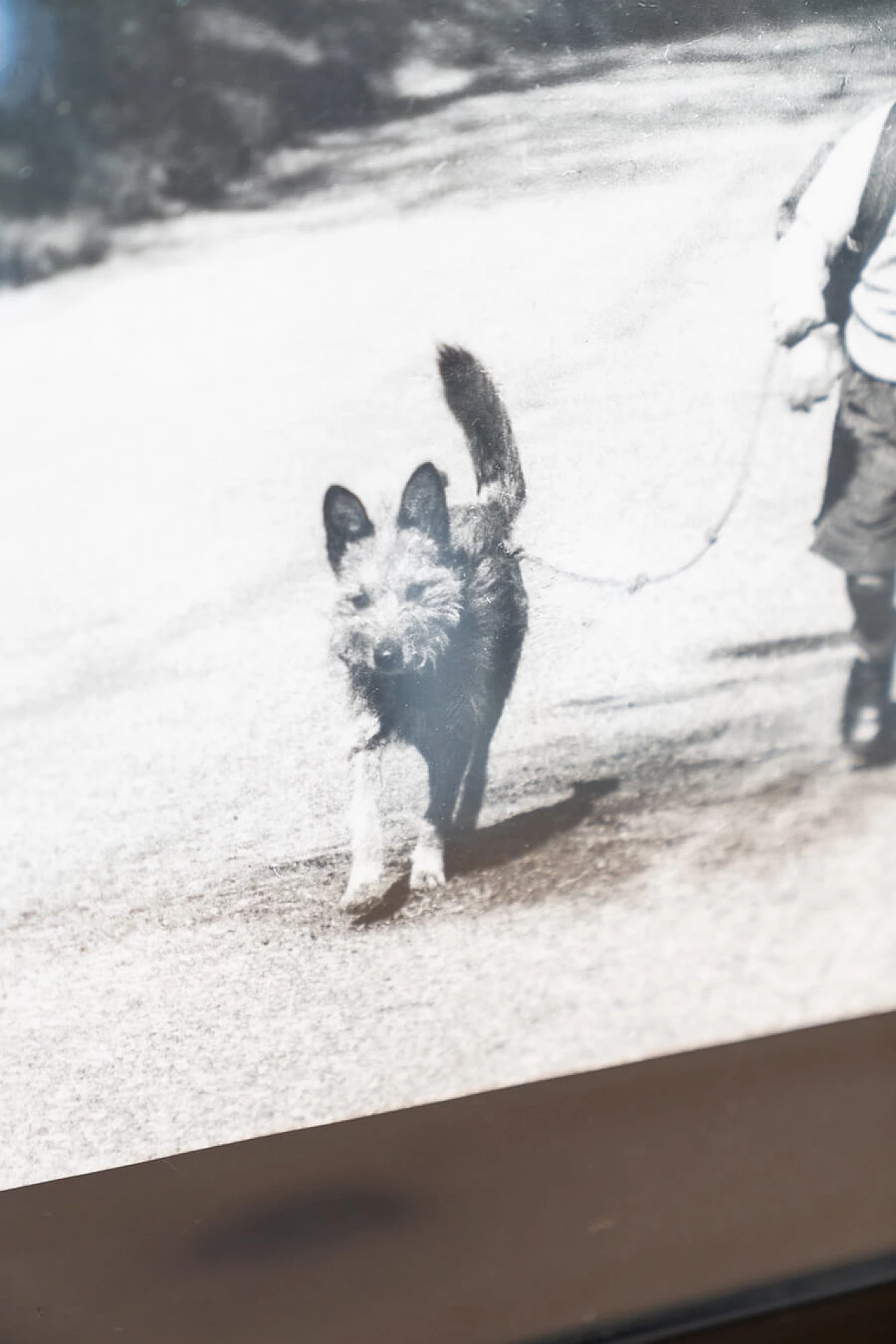 Black and white print of child and dog walking, 2000 5