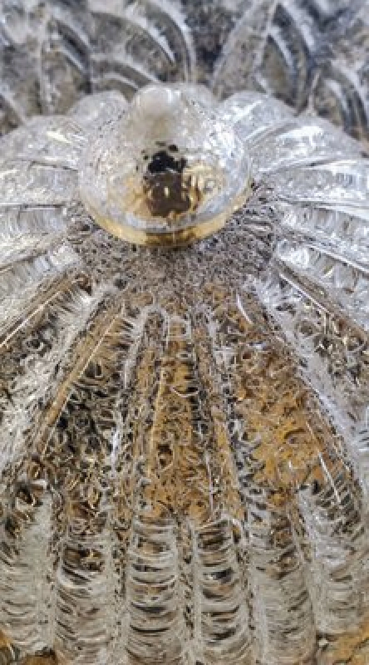 Murano glass ceiling lamp attributed to Barovier & Toso, 1980s 18