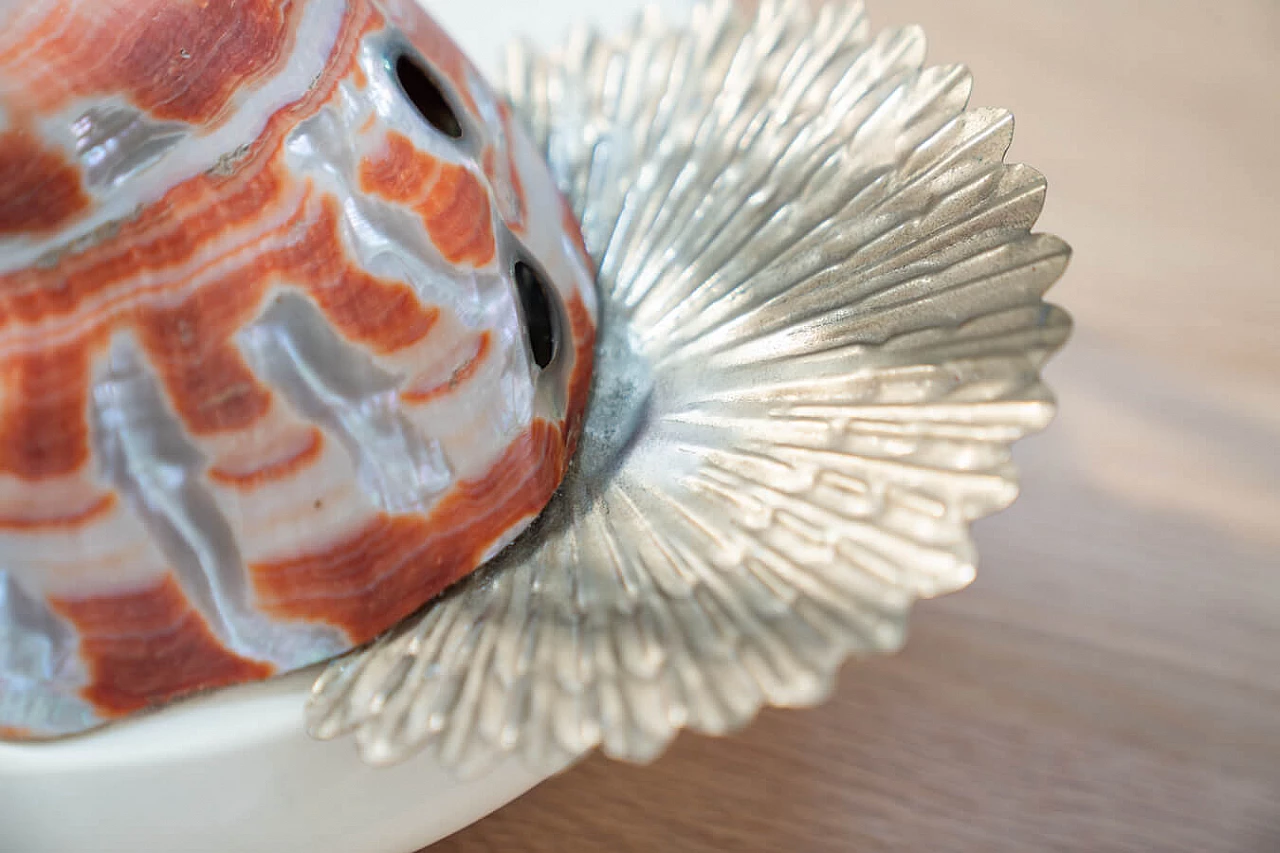 Cigno table lamp in steel and Nautilus shells by Antonio Pavia, 1970s 4