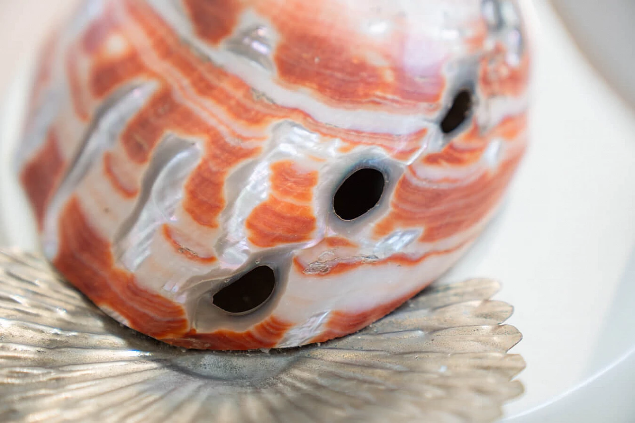 Cigno table lamp in steel and Nautilus shells by Antonio Pavia, 1970s 9