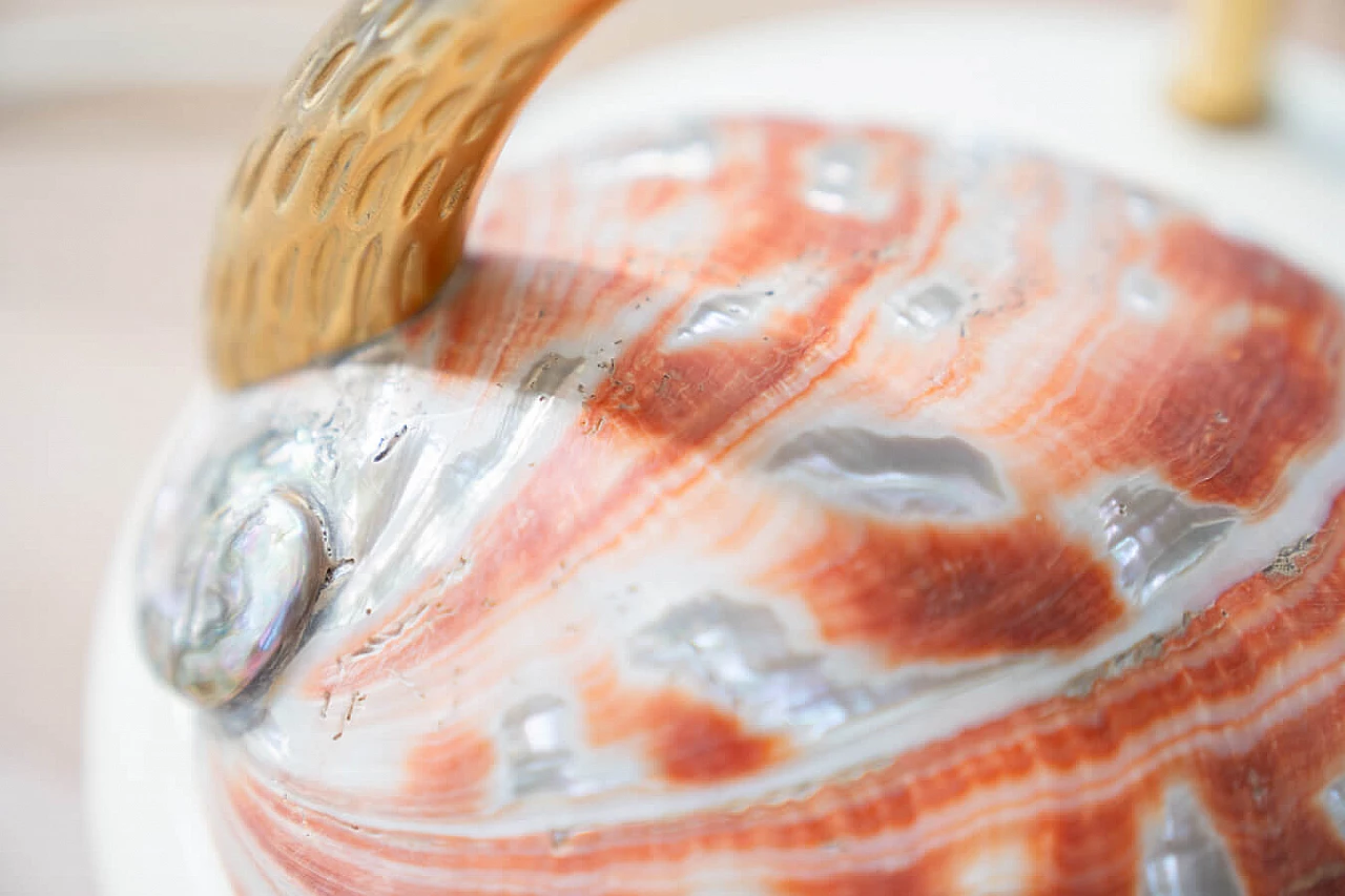 Cigno table lamp in steel and Nautilus shells by Antonio Pavia, 1970s 12