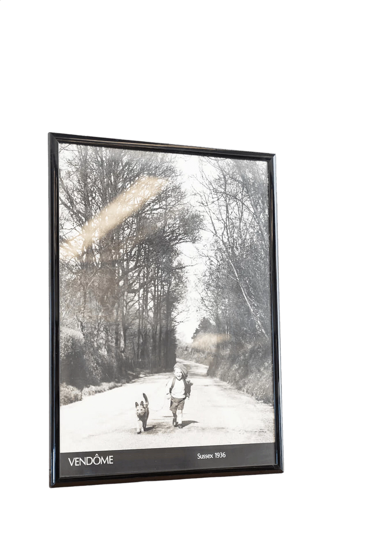 Stampa in bianco e nero di bambino e cane a passeggio, 2000 7