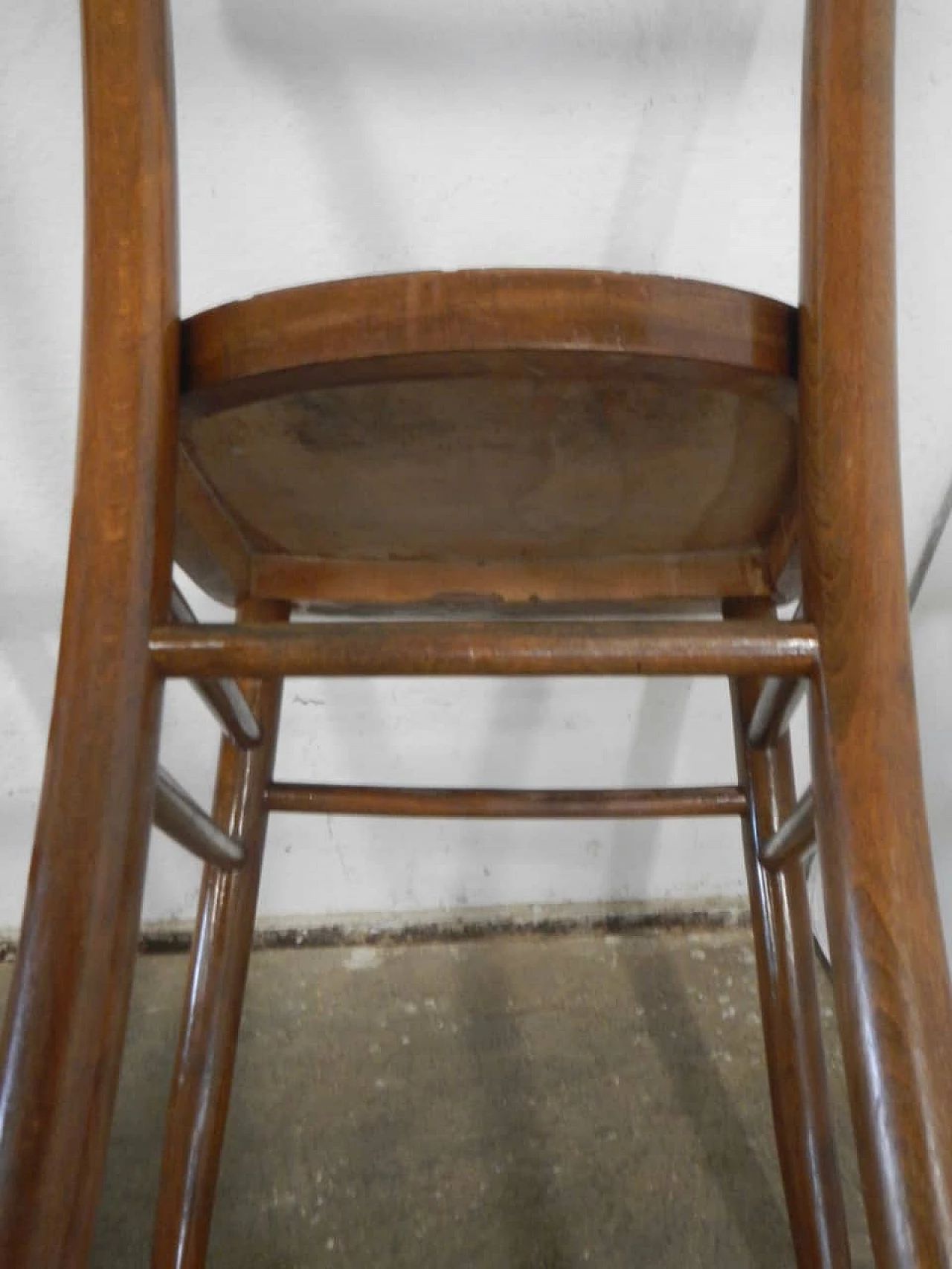 Coppia sedie in faggio, anni '50 9