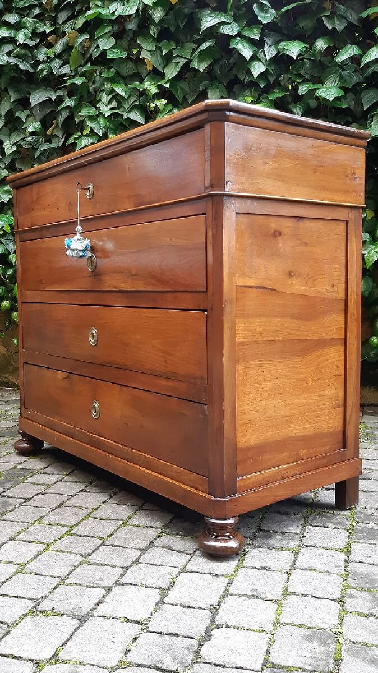 Solid walnut chest of drawers, 19th century 3