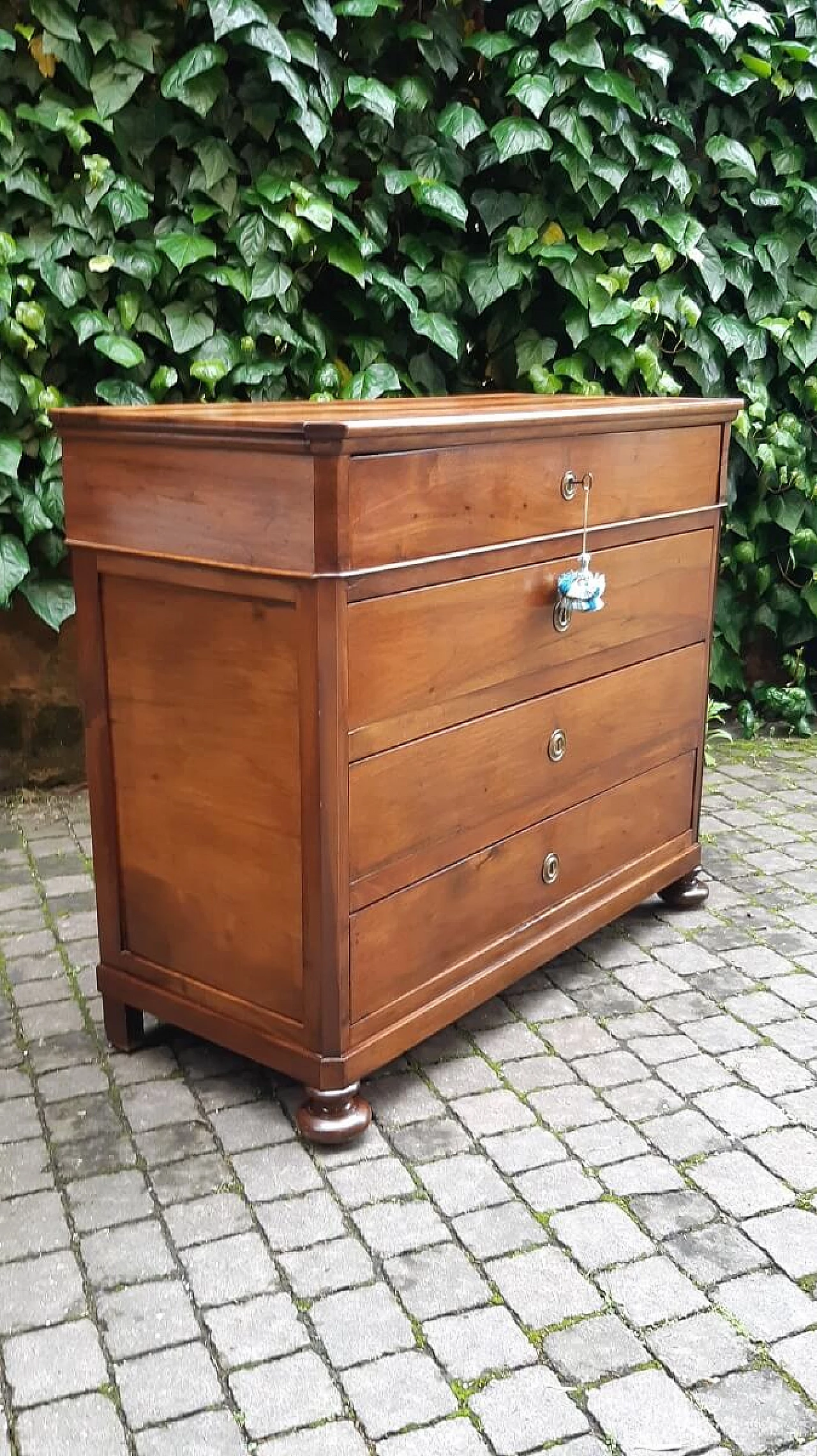 Solid walnut chest of drawers, 19th century 6