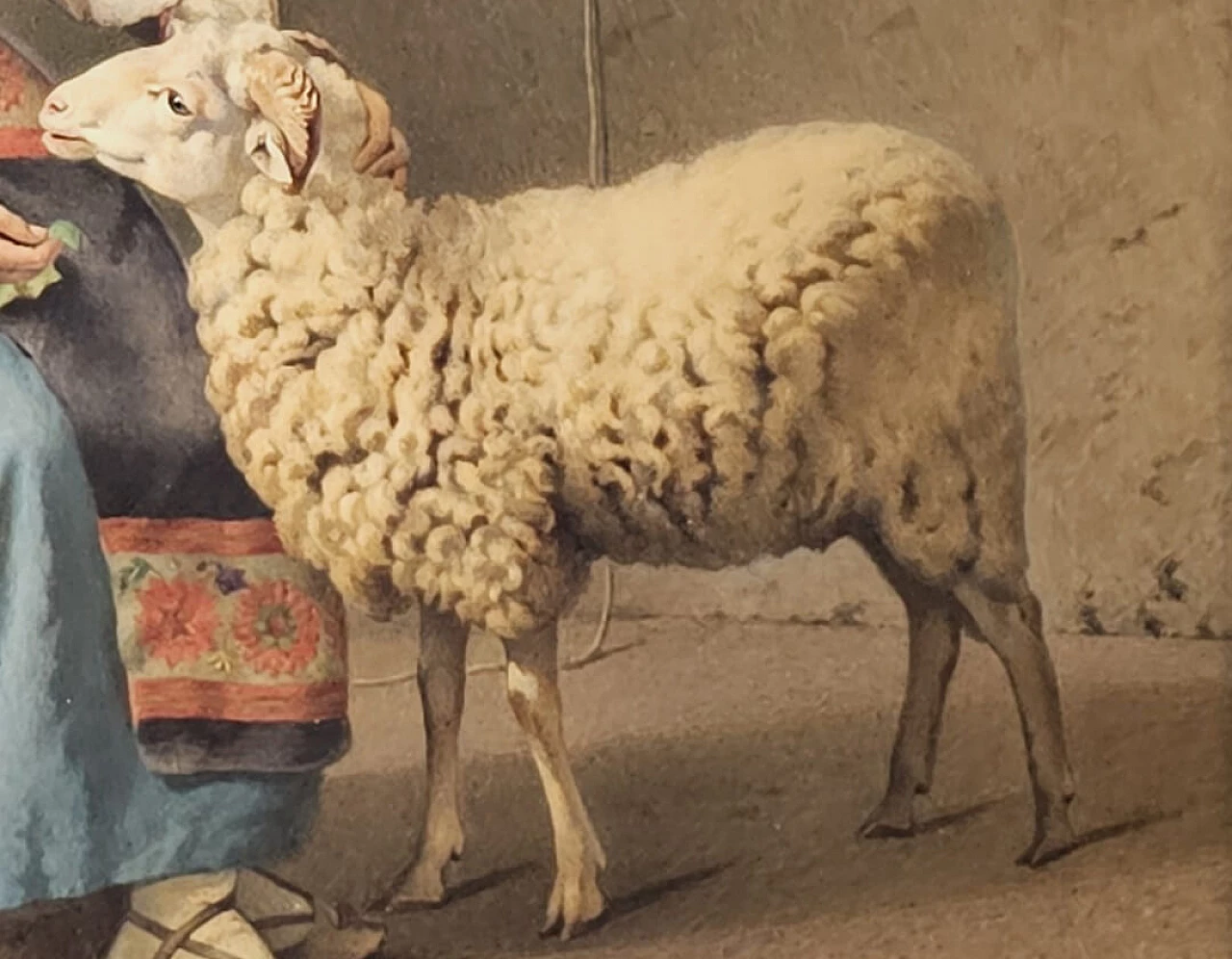 Girolamo Nattino, pastorella con pecora, acquerello, '800 2