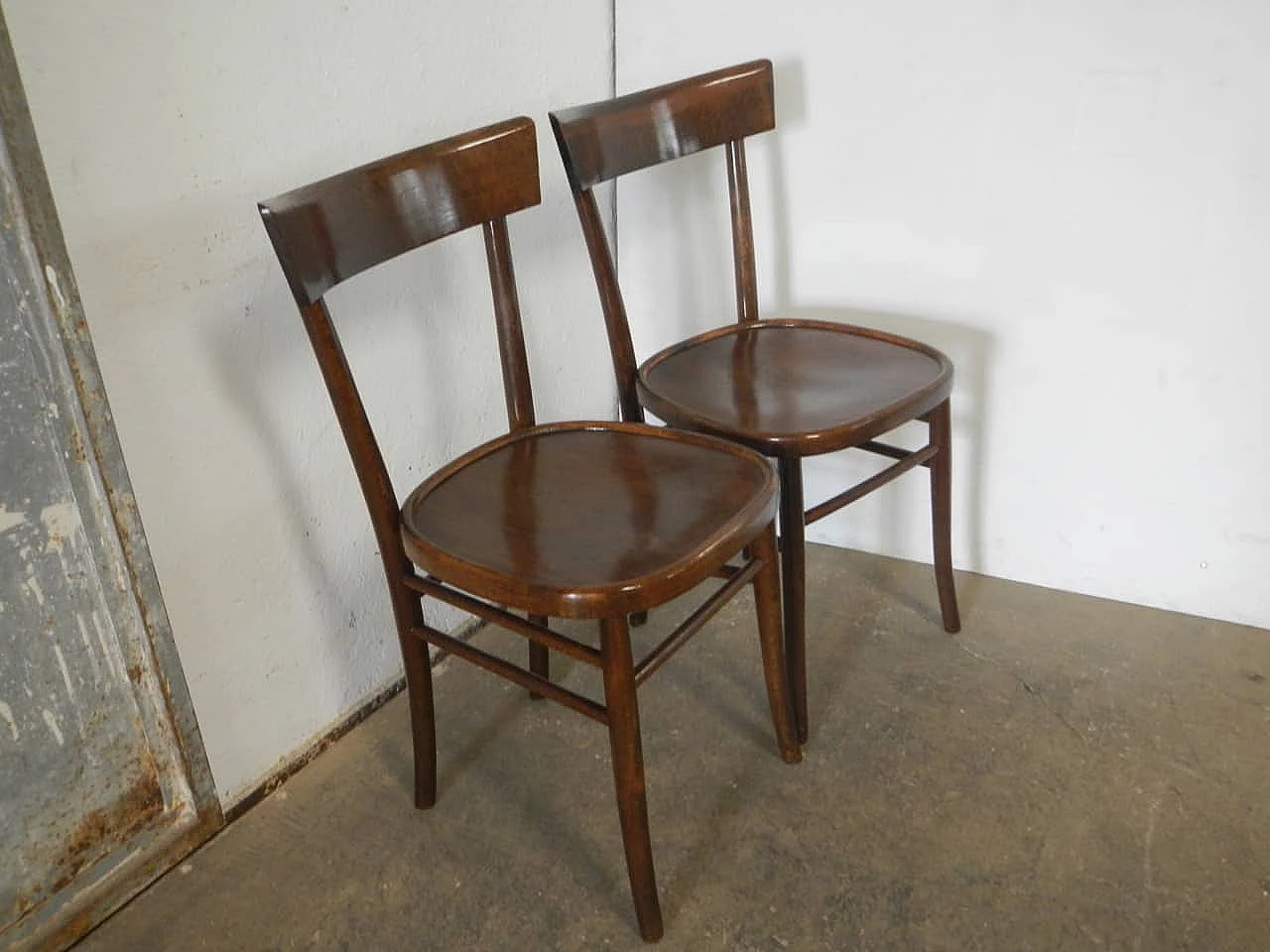 Coppia di sedie in faggio tinto, anni '50 1