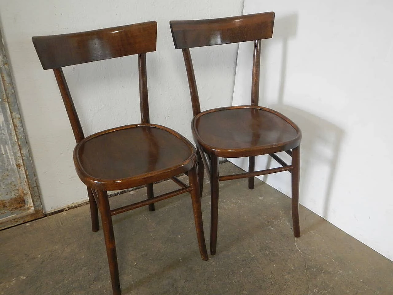 Coppia di sedie in faggio tinto, anni '50 2