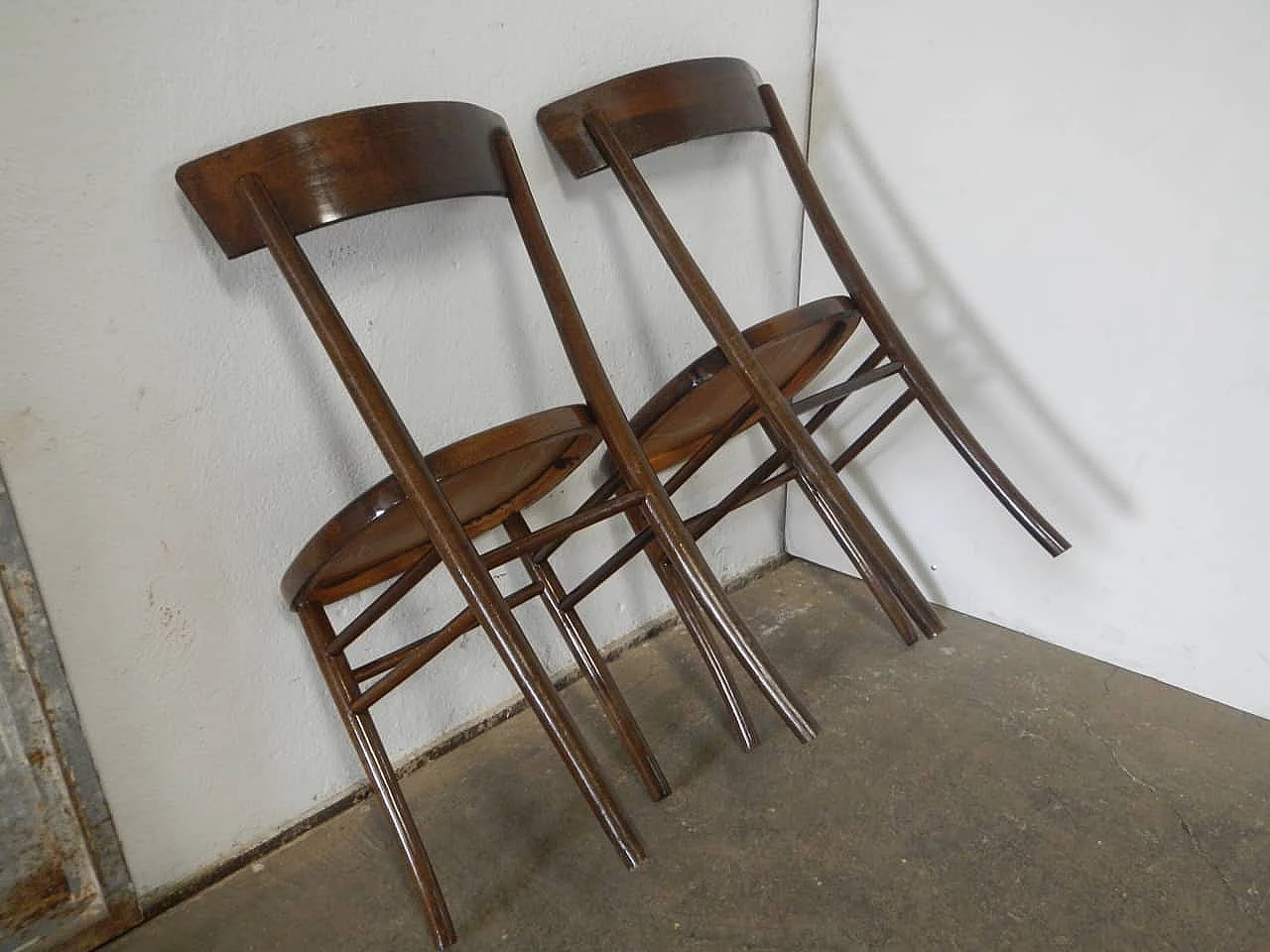 Coppia di sedie in faggio tinto, anni '50 5