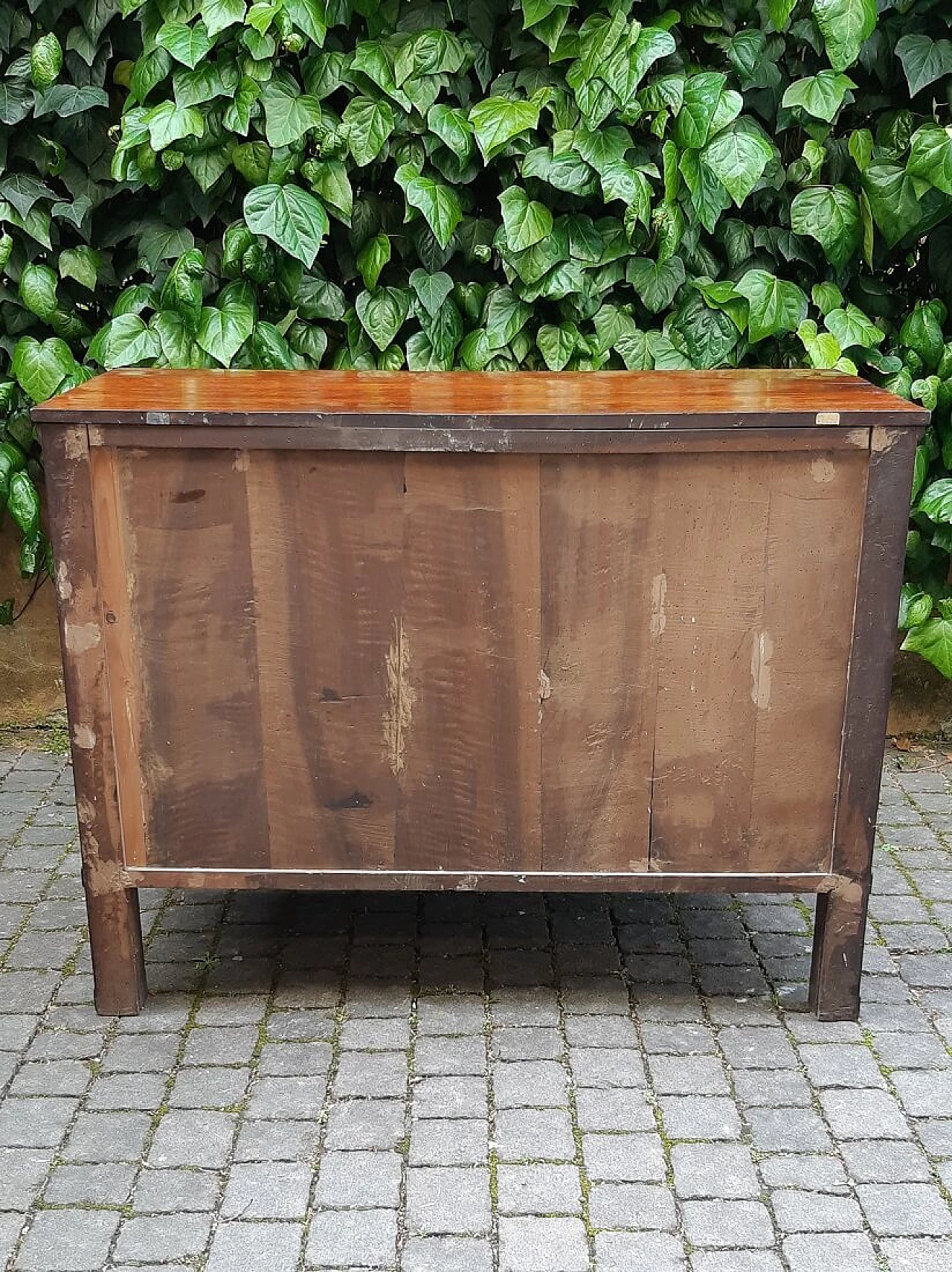 Modena Empire walnut paneled commode, early 19th century 1