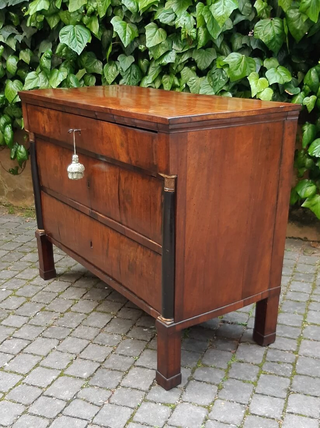 Modena Empire walnut paneled commode, early 19th century 3