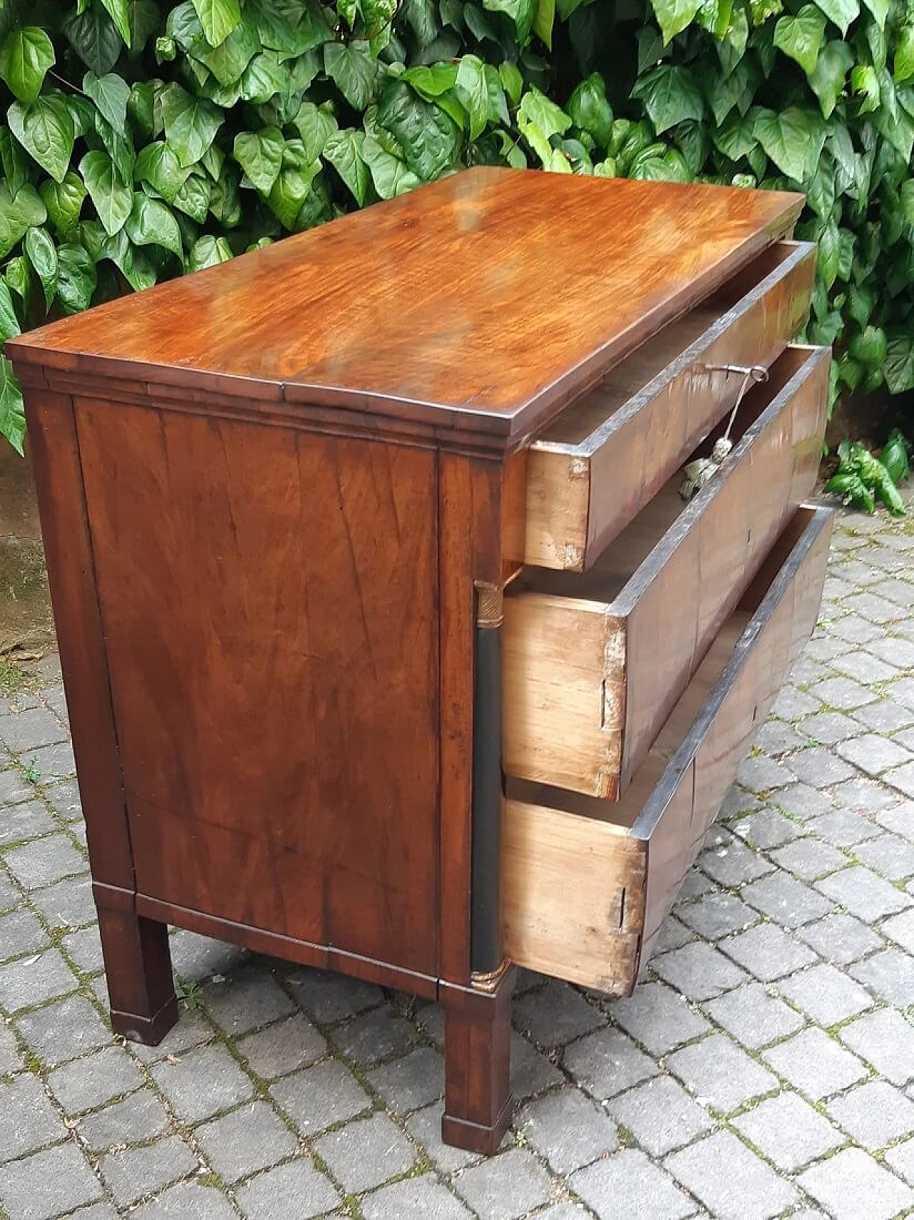 Modena Empire walnut paneled commode, early 19th century 5